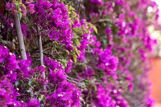 Sustainability Policy