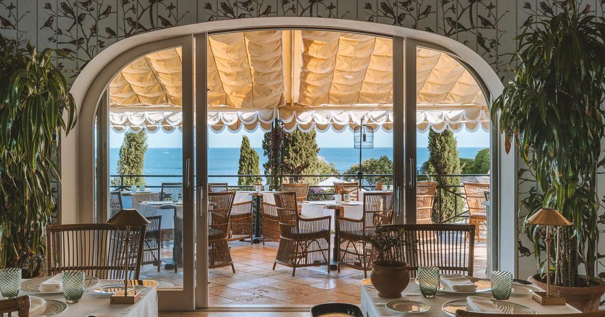 Il Pellicano